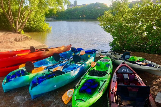 Siesta Key Guided Eco Tour - Traveler Feedback and Recommendations
