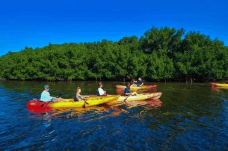 Siesta Key: Kayak and Paddleboard Rentals - Duration and Group Information