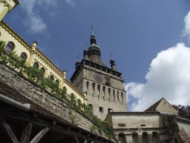 Sighisoara & wine tasting (from Cluj) - An Honest Look at the Sighisoara & Wine Tasting Tour from Cluj