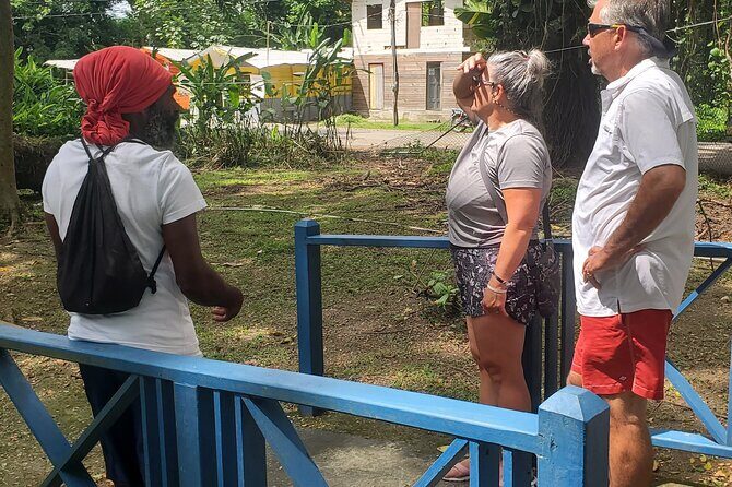 Sight seeing tour through the hills of JAMAICA - The Itinerary Breakdown