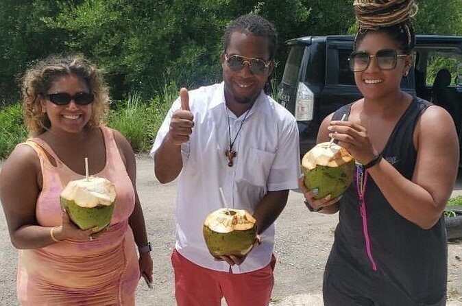 Sight seeing tour through the hills of JAMAICA - Who Will Love This Tour?