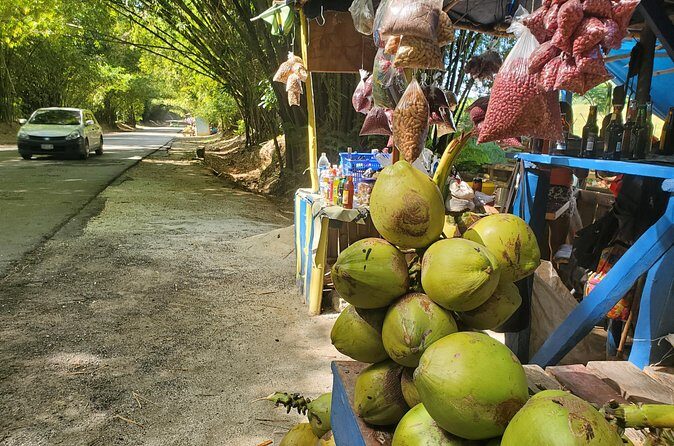 Sight seeing tour through the hills of JAMAICA - The Sum Up: A Well-Rounded, Authentic Jamaican Adventure