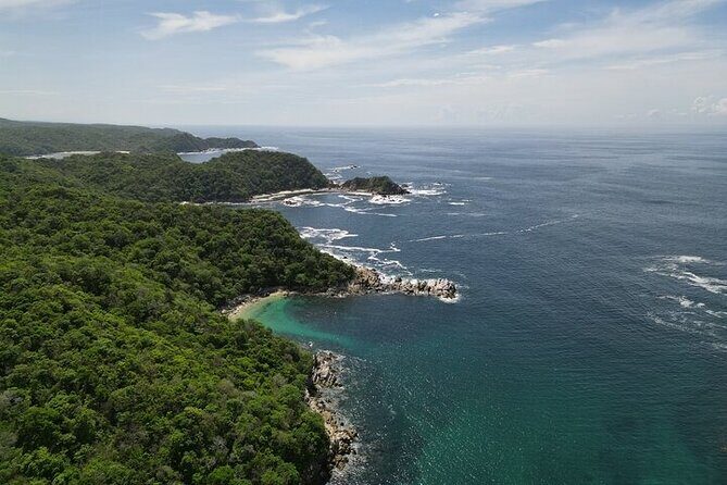 Sighting DE Marine Mammals and Snorkeling - Who Will Love This Tour?