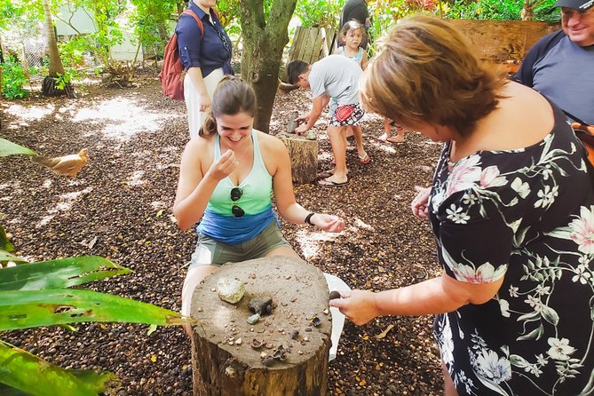 Sights & Bites Island Tour - Tour Experiences