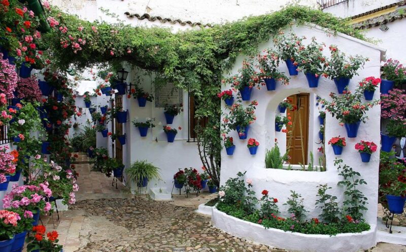 Sights, Sounds, and Scents of Córdobas Patios - Key Points