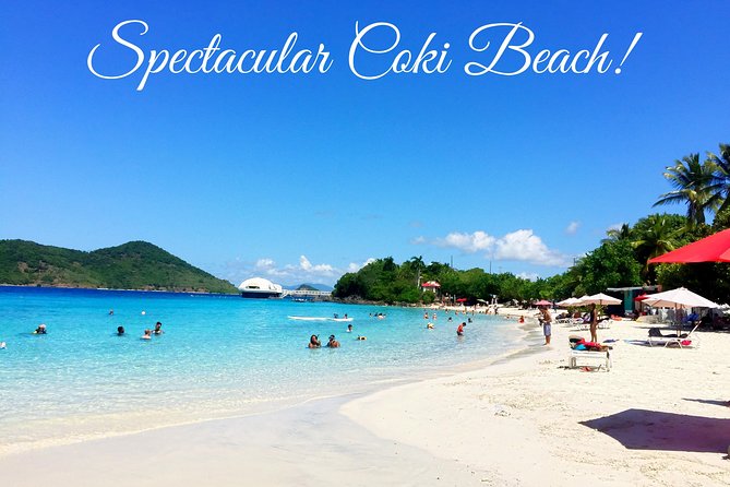 Sightseeing and Swimming Excursion - Customer Experiences