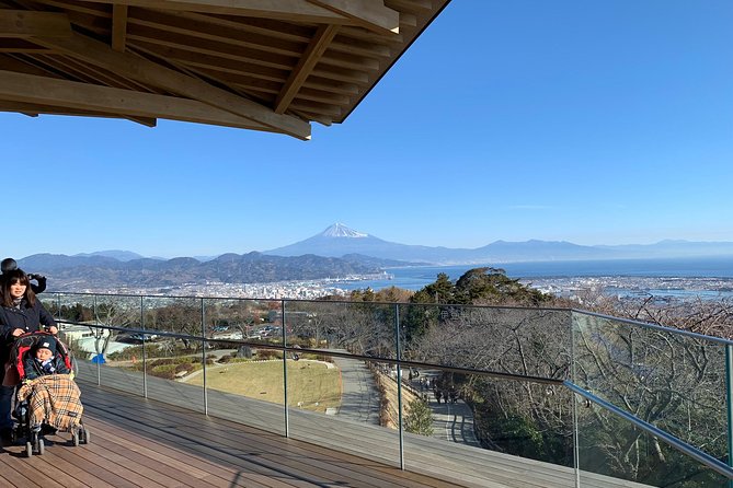 Sightseeing Around Shimizu Port for Cruise Ship Passengers - Itinerary and Inclusions