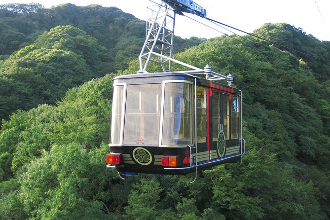 Sightseeing Around Shimizu Port for Cruise Ship Passengers - Transportation and Guide