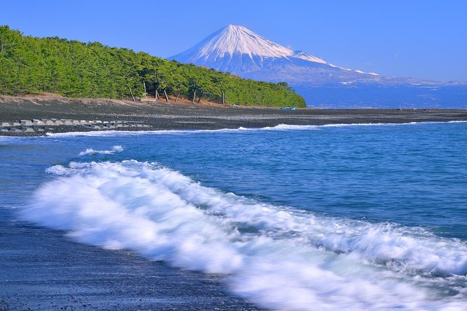 Sightseeing Around Shimizu Port for Cruise Ship Passengers - Combination Ticket Options