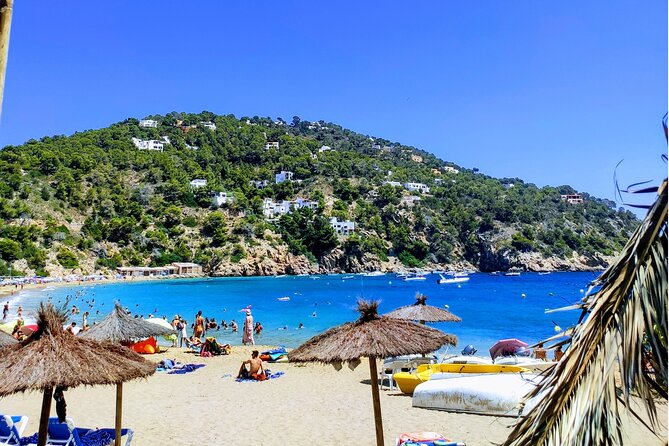 Sightseeing Day Tour Along the East and North Coasts of Ibiza! - Inclusions and Requirements