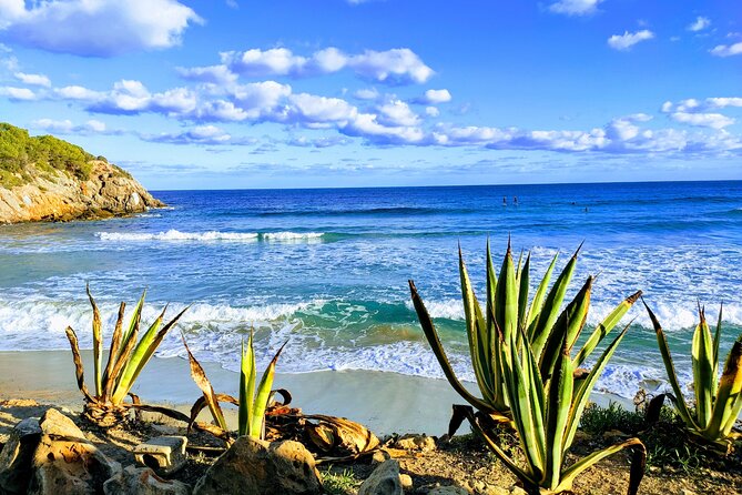 Sightseeing Day Tour Along the East and North Coasts of Ibiza! - Discovering Iconic Beaches