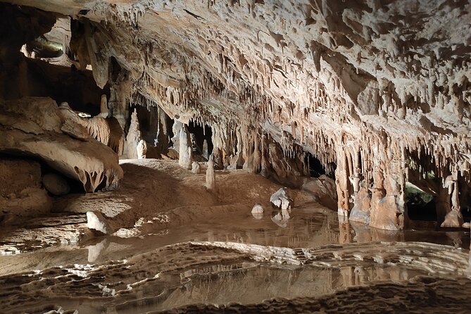 Sightseeing Day Tour Along the East and North Coasts of Ibiza! - Experience Expectations