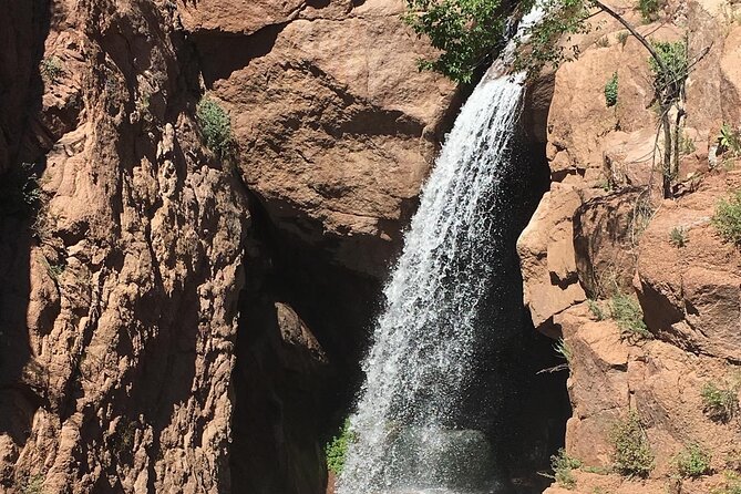 Sightseeing Jeep Tour in Garden of the Gods - Traveler Reviews and Experiences