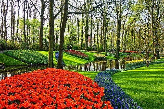 Sightseeing Keukenhof Tulip fields, Giethoorn tour from Amsterdam - Key Points