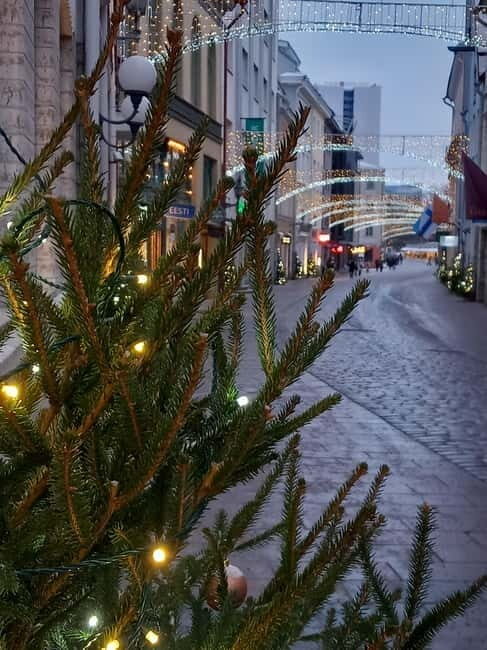 Sightseeing tour "Around Tallinn in 3 hours" - Final Thoughts