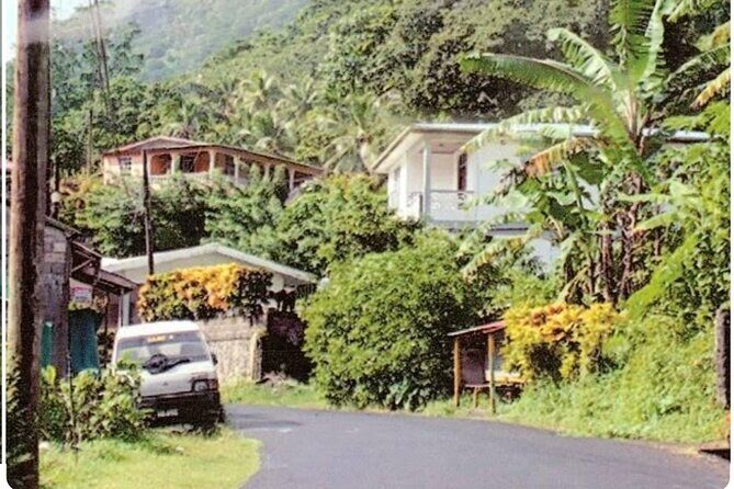 Sightseeing Tour in Ocho Rios - Transportation and Group Dynamics