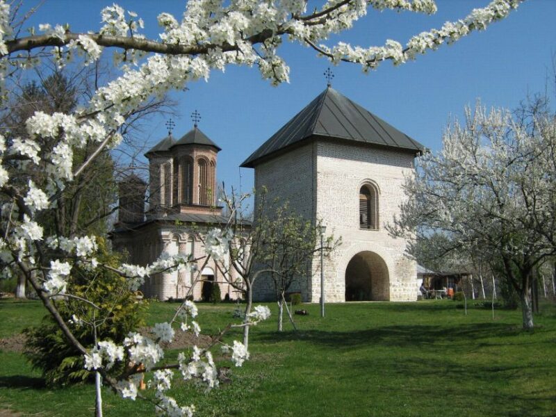 Sightseeing Tour of Bucharest and It'S Surroundings - Itinerary Highlights