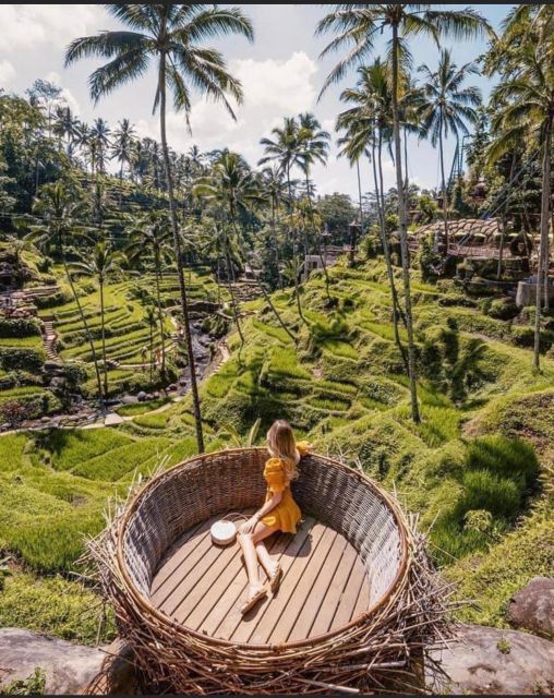 Sightseeing Ubud Barong Dance, Ubud Art Market and Waterfall - Segara Windhu Coffee Plantation
