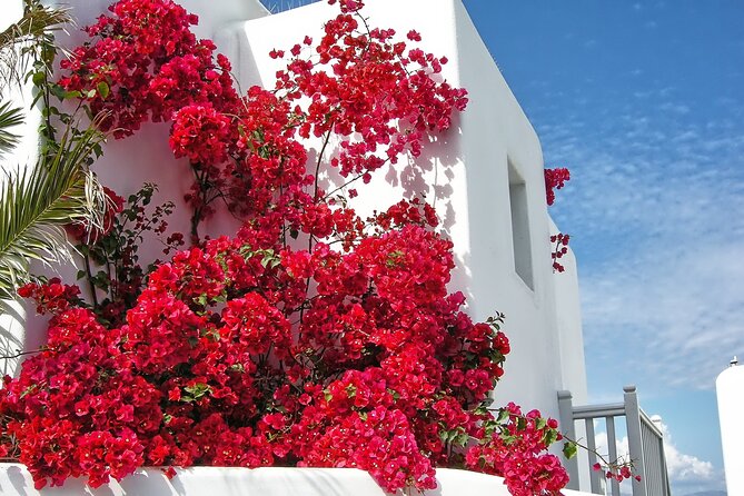 Sightseeing With a Mykonian - Experience Personalized Small Group Tours