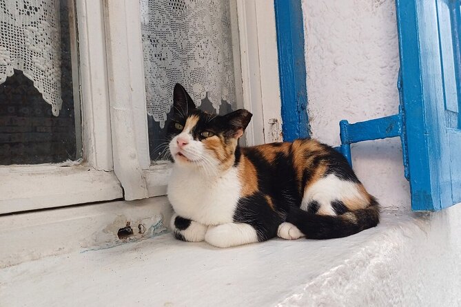 Sightseeing With a Mykonian - Discover Authentic Local Experiences