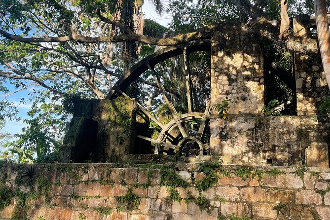 Sightseen tour and Souvenir shopping with private transportation in Montego Bay - A Closer Look at the Tour Itinerary