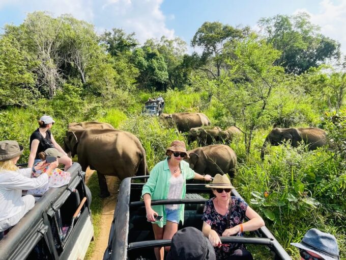 Sigiriya/Dambulla/Habarana: Minneriya National Park Safari - Other Wildlife