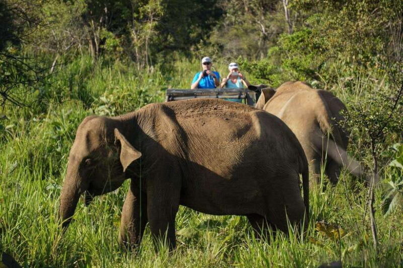 Sigiriya & Dambulla: with Jeep Safari Tour From Pasikudah - Final Thoughts