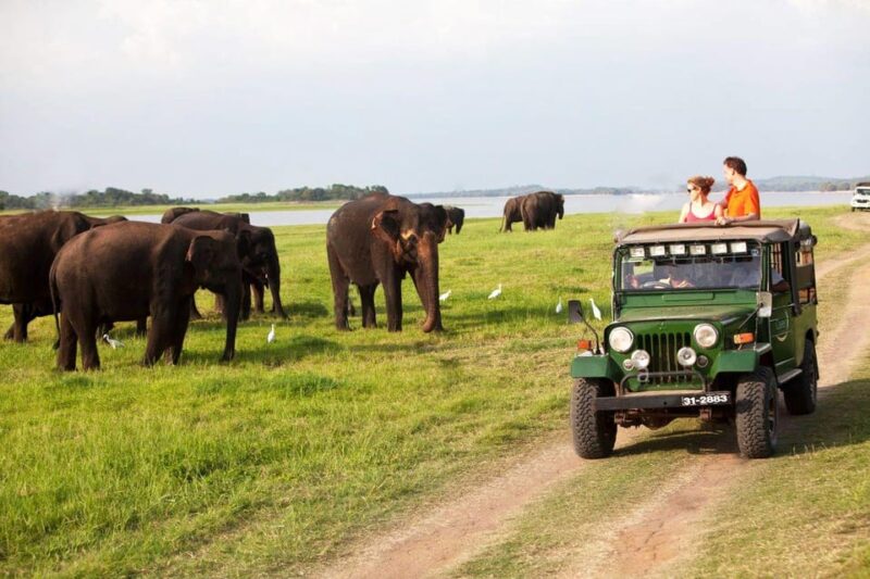 Sigiriya & Dambulla: With Jeep Safari Tour From Trincomalee - Inclusions