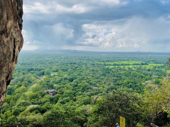 Sigiriya & Dambulla: With Jeep Safari Tour From Trincomalee - Jeep Safari in Minneriya National Park