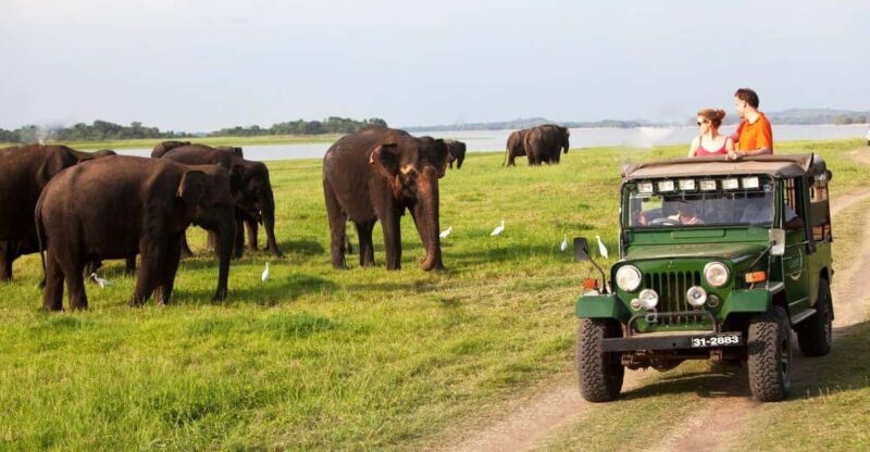 Sigiriya: Day Tour With Jeep Safari From Trincomalee - Good To Know