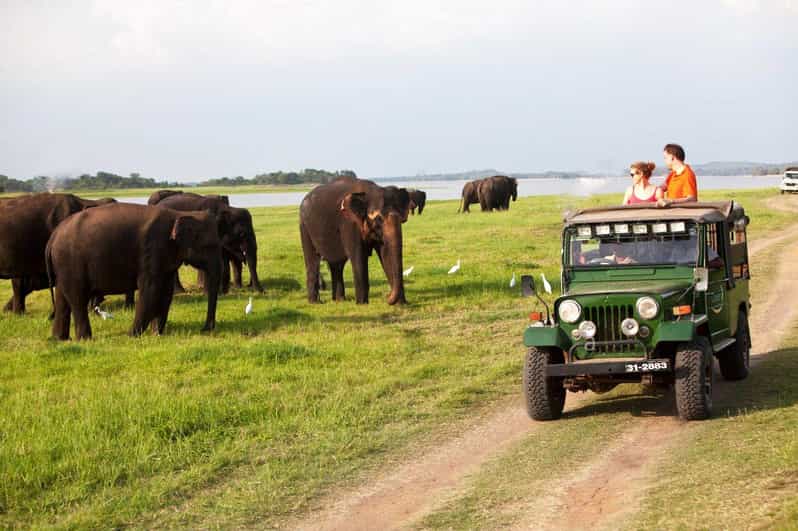 Sigiriya: Day Tour With Jeep Safari From Trincomalee - Sigiriya Lion Rock