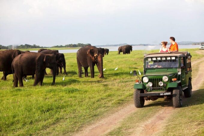 Sigiriya: Day Tour With Jeep Safari From Trincomalee - Customer Reviews