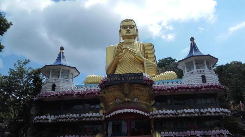 Sigiriya Day Trip With Experts - Minneriya National Park