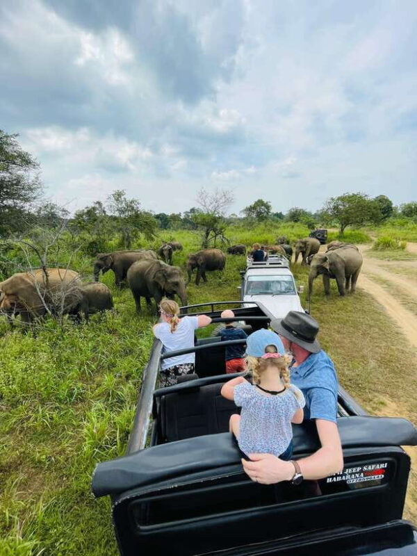 Sigiriya: Elephant Jeep Safari at Minneriya National Park - The Itinerary: How Your Day Unfolds