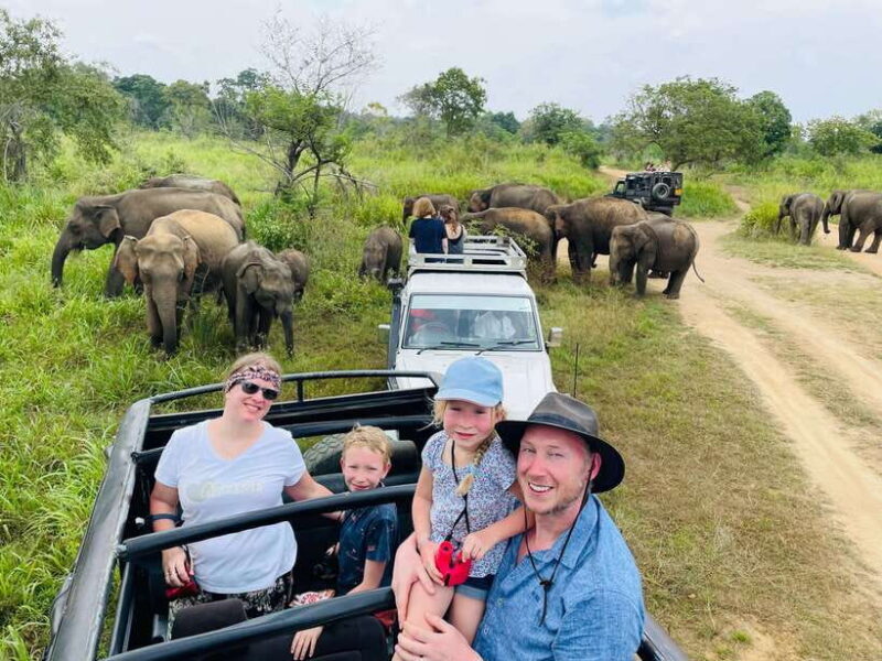 Sigiriya: Elephant Jeep Safari at Minneriya National Park - The Sum Up