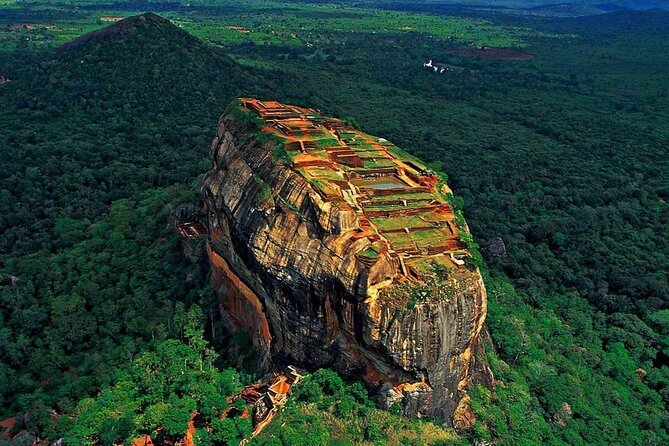 Sigiriya Lion Rock & Dambulla Tour Review - Knowledgeable and Friendly Tour Guide