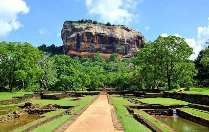 Sigiriya Lion Rock & Minneriya National Park Elephant Safari - Wildlife Safari at Minneriya National Park