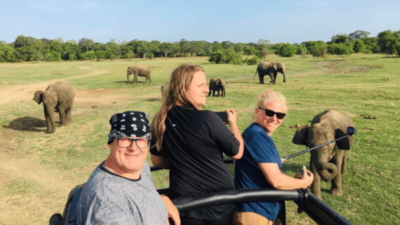 Sigiriya Lion Rock & Minneriya National Park Elephant Safari - Practicalities & Considerations