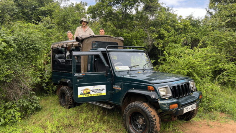 Sigiriya Lion Rock & Minneriya National Park Elephant Safari - Final Thoughts