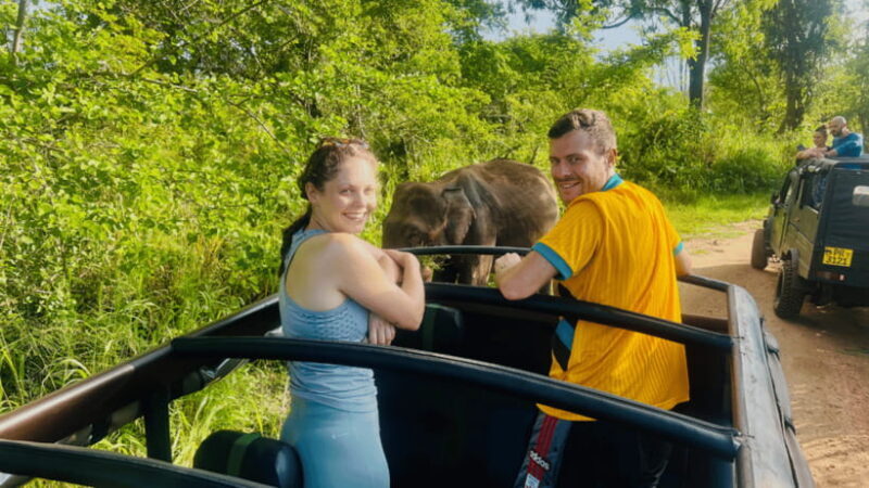 Sigiriya Lion Rock & Minneriya National Park Elephant Safari - FAQ Section