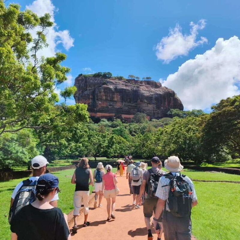 Sigiriya & Minneriya Elephant full day tour - Key Points