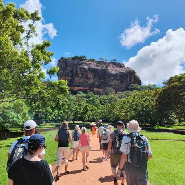 Sigiriya & Minneriya Elephant full day tour - A Closer Look at the Tour Experience