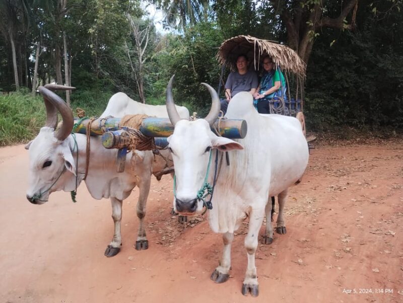 Sigiriya; Minneriya Elephant Safari & Village Tour - Itinerary Details