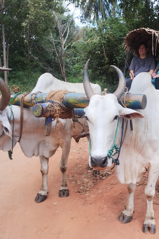 Sigiriya; Minneriya Elephant Safari & Village Tour - Pickup and Dropoff