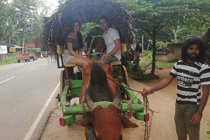 Sigiriya, Traditional Lunch and Cave Temple Private Day Tour All Inclusive - Customer Reviews and Ratings