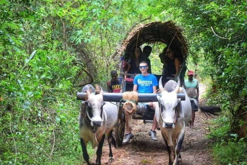Sigiriya: Village Life and Sri Lankan Lunch - Introduction