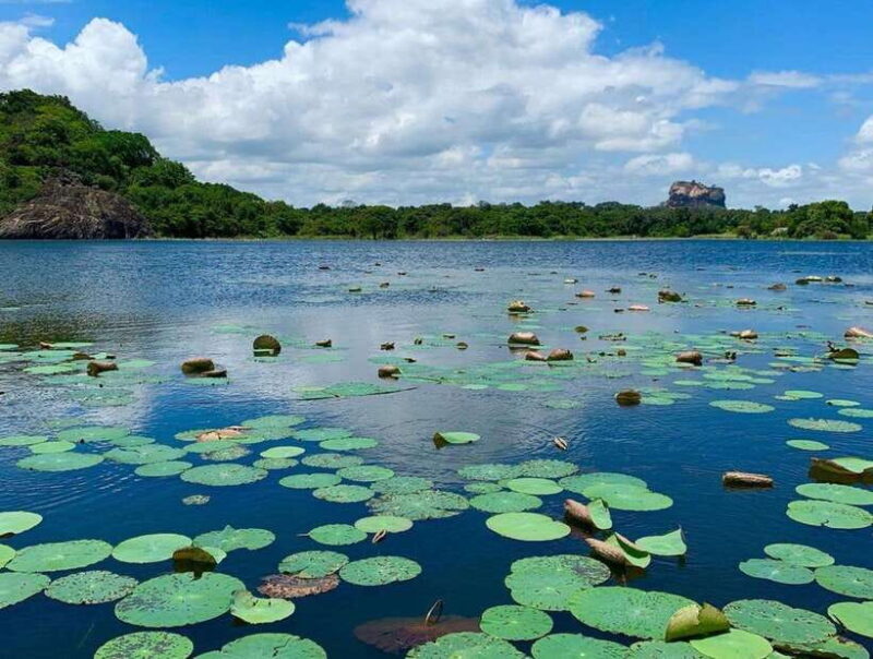 Sigiriya: Village Life and Sri Lankan Lunch - Key Points