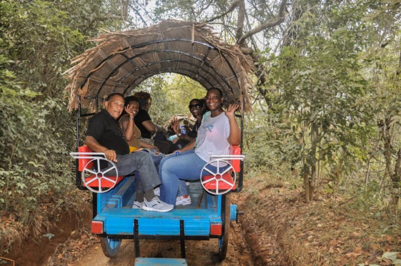 Sigiriya Village Tour and Lunch - Highlights