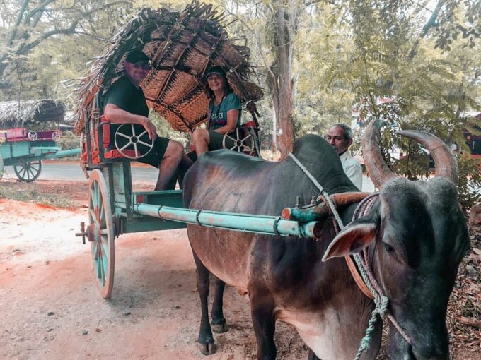Sigiriya Village Tour and Lunch - Frequently Asked Questions