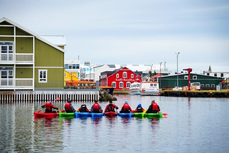 Siglufjörður / Siglufjordur: Guided kayak tour. - Key Points